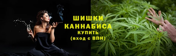 PSILOCYBIN Аркадак