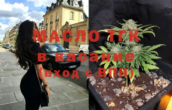 ECSTASY Алзамай
