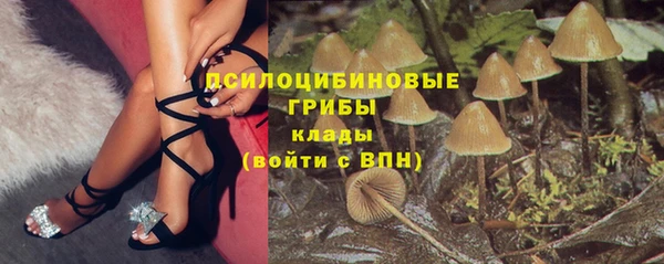 PSILOCYBIN Аркадак