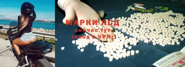 ECSTASY Алзамай