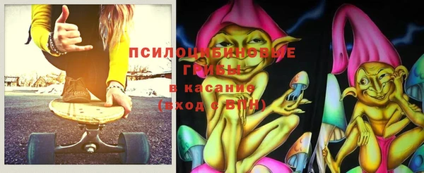 ECSTASY Алзамай