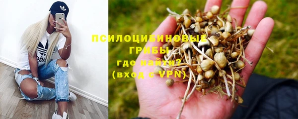 бутират Алексин