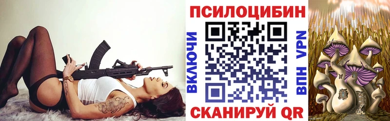 Галлюциногенные грибы Psilocybe  Купить где  Таруса 